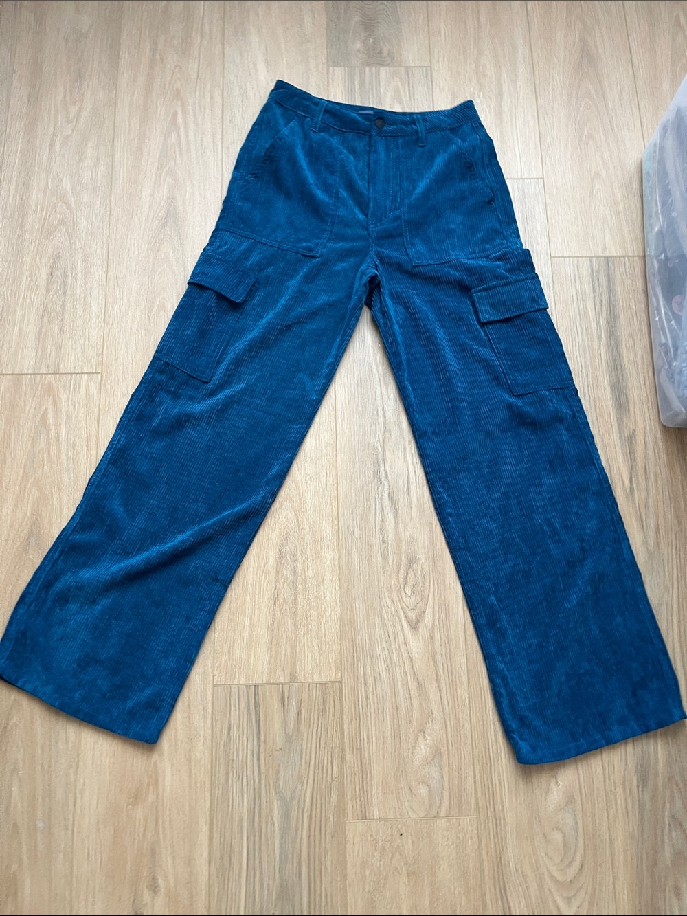 Indigo Rising Corduroy Pants in Teal 3/26